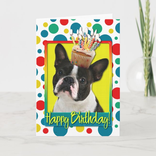 Carte Petit gâteau d'anniversaire - Boston Terrier (Devant)
