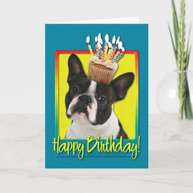 Carte Petit gâteau d'anniversaire - Boston Terrier (Devant)