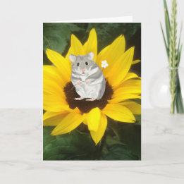 Carte Petit Hamster Assis Dans Le Tournesol Jaune