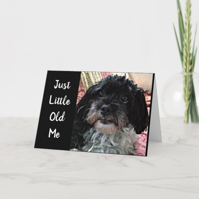 CARTE PETIT JE ME DEMANDE **COMMENT ÊTES-VOUS ?*** (Devant)