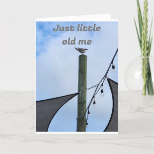 CARTE PETIT JE SOUHAITE PETIT ANNIVERSAIRE...