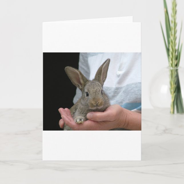 Carte petit lapin doux (Devant)