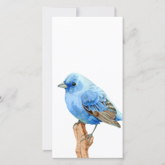 Carte Petit oiseau bleu