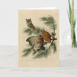 Carte Petite chouette à cris des oiseaux d'Amérique d'Au