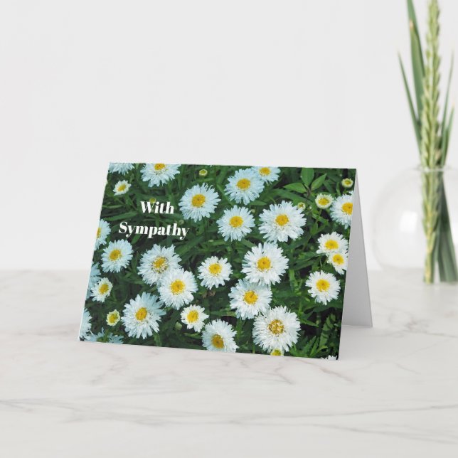 Carte Petite marguerite blanche Sympathie photo florale (Devant)