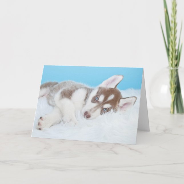 Carte Petite marionnette Husky posée sur une couverture (Devant)
