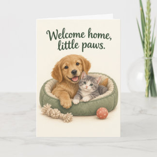 Carte Petite Patte Accueil à la Maison Adoption d'Animau