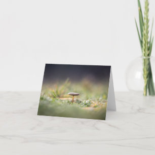 Carte Petite photo de la nature des champignons
