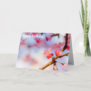 Carte Petite Sakura Rose Beautés Au Printemps