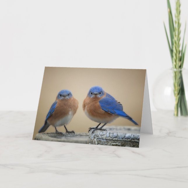 Carte Petits hommes grincheux (Devant)