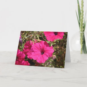 Carte Pétunia rose chaud