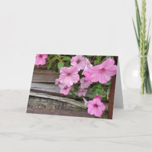 Carte Pétunias Rose Sur Bois Rustique