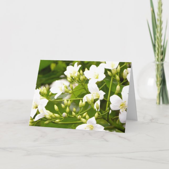 Carte Peut fleurir des salutations de Tout-Occasion de (Devant)