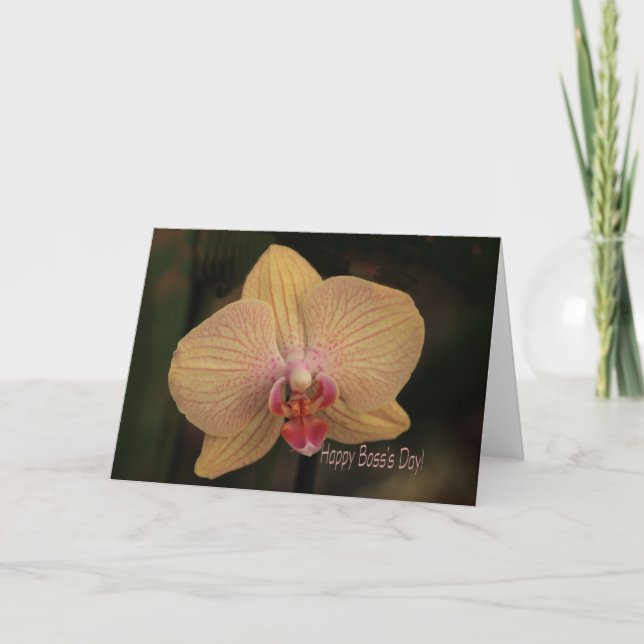 Carte Phalaenopsis orchidée Joyeux Boss Day (Devant)