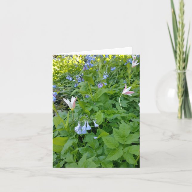 Carte Philippians 4:4 Blank Card (Devant)