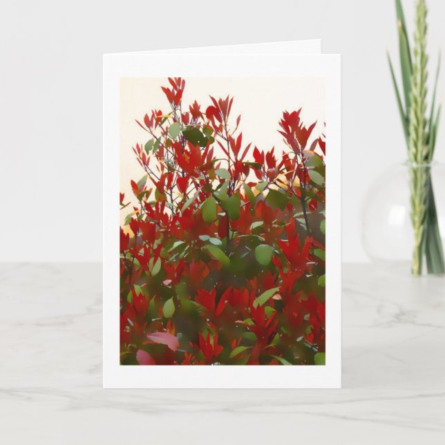 Carte Photinia bush Anniversaire (Devant)