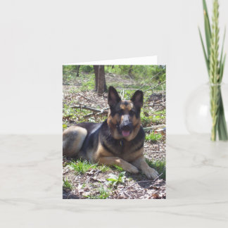 Carte Photo_0373