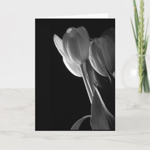 Carte Photo blanche de tulipes sur l'arrière - plan noir