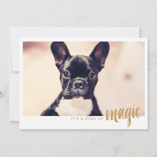 Carte photo C'est une sorte de magie