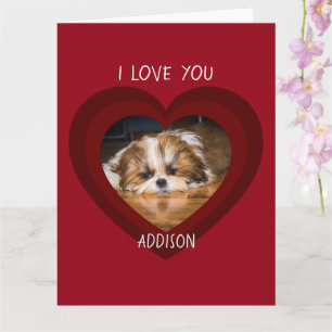 Carte photo Cute shih tzu amour cœur de la Saint-V