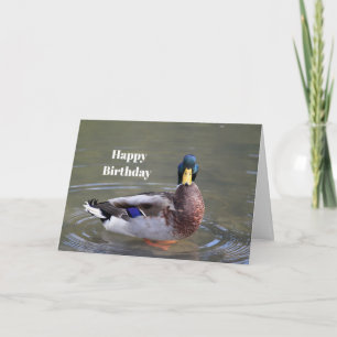 Carte Photo d'anniversaire de Mallard Duck Drake Water