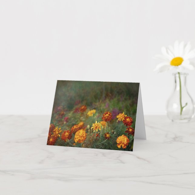 Carte Photo d'art fin de souci rêveur (Petite plante)