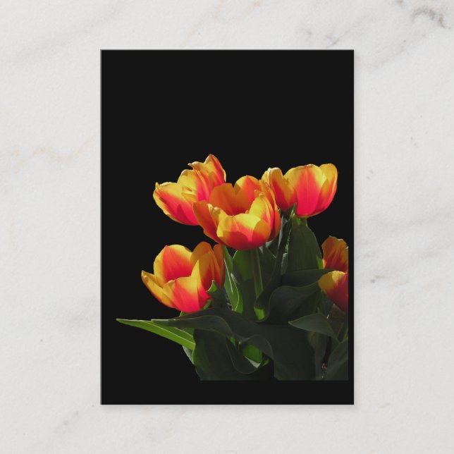 Carte photo d'ATC de tulipes de Rembrandt (Devant)