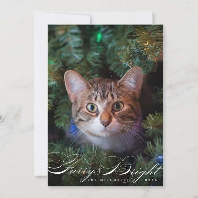 Carte photo de chat pour animaux de compagnie fure (Devant)