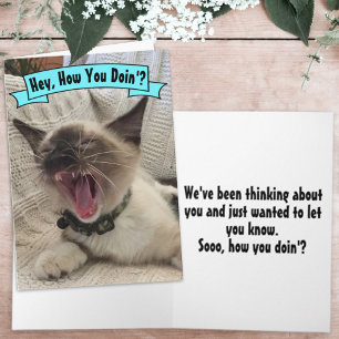 Carte Photo de chat siamois criant drôle 'Comment vas-tu