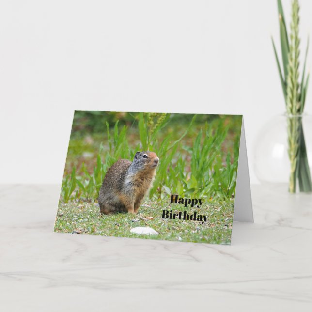 Carte Photo de chien des Prairies Faune Anniversaire (Devant)