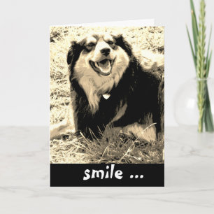 Carte photo de chien mignon souriant humoristique annive