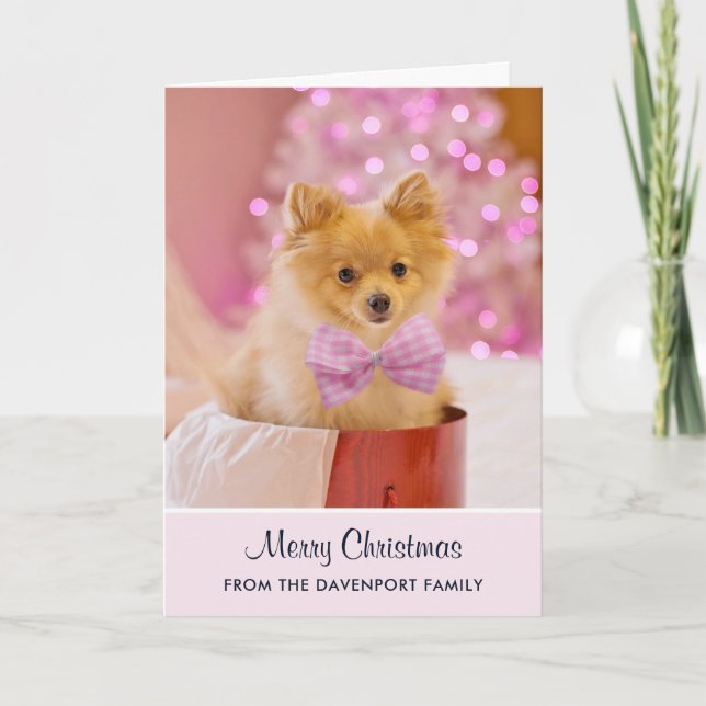 Carte Photo de Cute Christmas Dog avec Pink Bow & Tree (Devant)