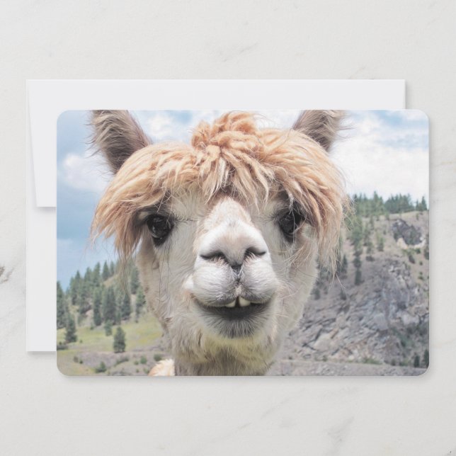 Carte Photo de Cute Smiling Alpaca (Devant)