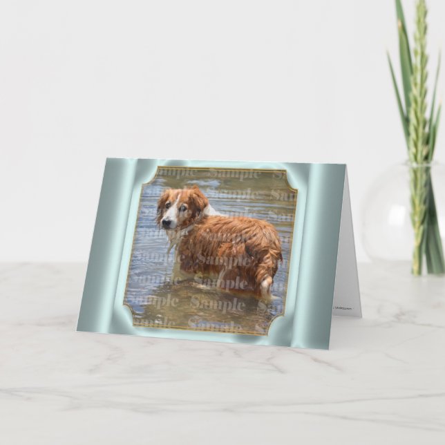 Carte PHOTO de deuil des animaux | avec poème (Devant)