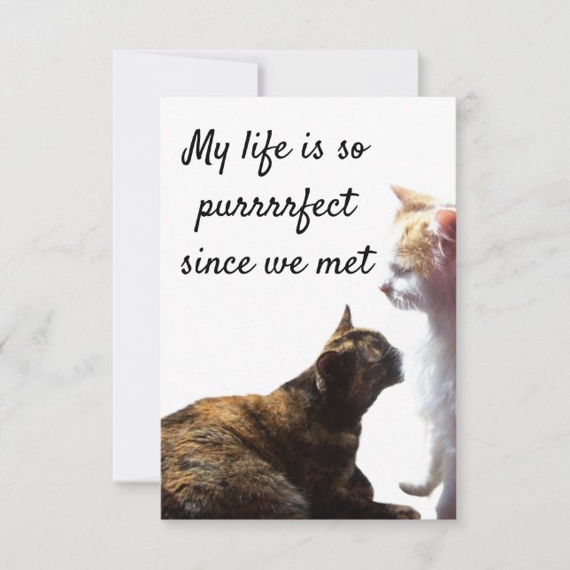 Carte Photo de deux chats avec la vie parfaite de Valent (Devant)