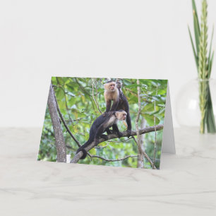 Carte Photo de famille au visage pâle de singe