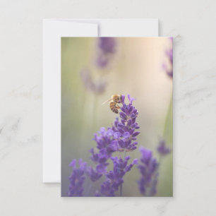 Carte Photo de fleur de lavande abeille mellifère nature