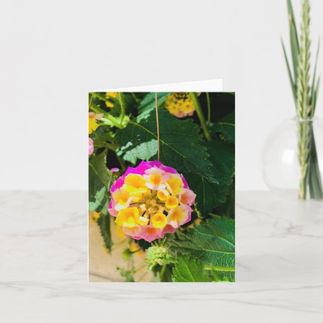 Carte Photo de fleur jaune et rose (Devant)