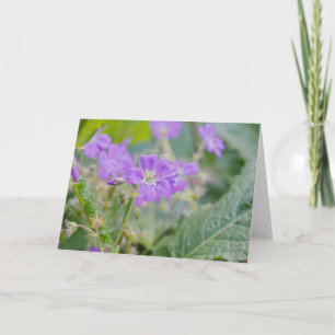 Carte Photo de fleur violette de géranium sauvage