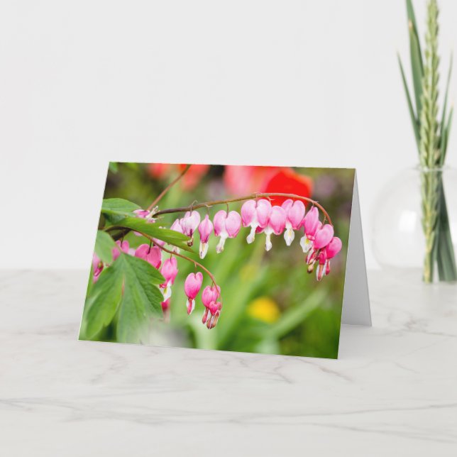 Carte Photo de fleurs cardiaques saignantes (Devant)