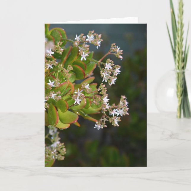 Carte photo de fleurs Jade (Devant)