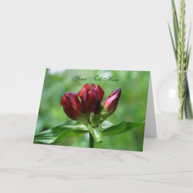 Carte photo de fleurs rouges Gentian (Devant)