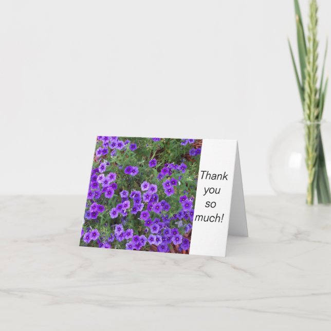 Carte Photo de fleurs violettes de Phlox sur un Merci (Devant)