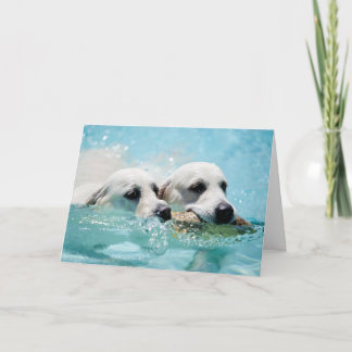Carte photo de golden retriever