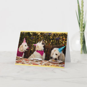 Carte photo de golden retriever de joyeux