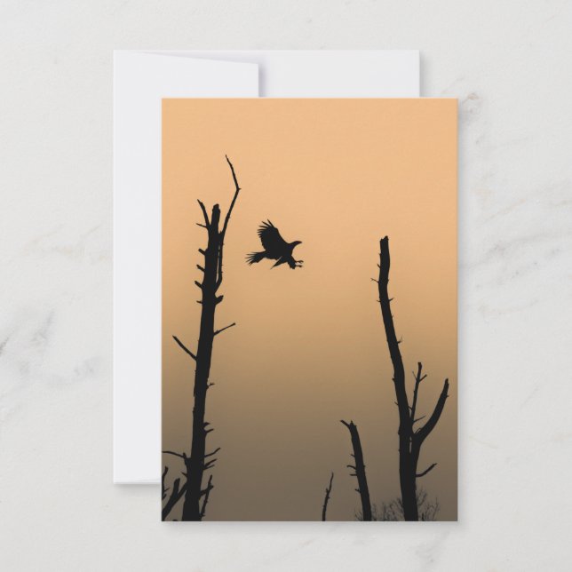 Carte Photo de la faune de Sea Eagle (Devant)