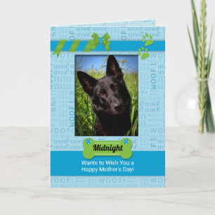 Carte photo de la fête des mères du chien bleu