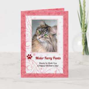 Carte Photo de la fête des mères du Rose de chat