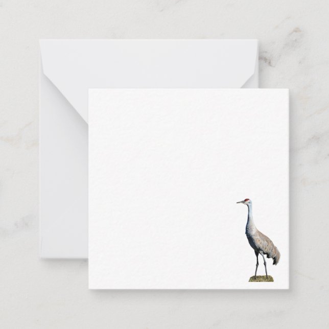Carte photo de la grue de Sandhill (Devant)