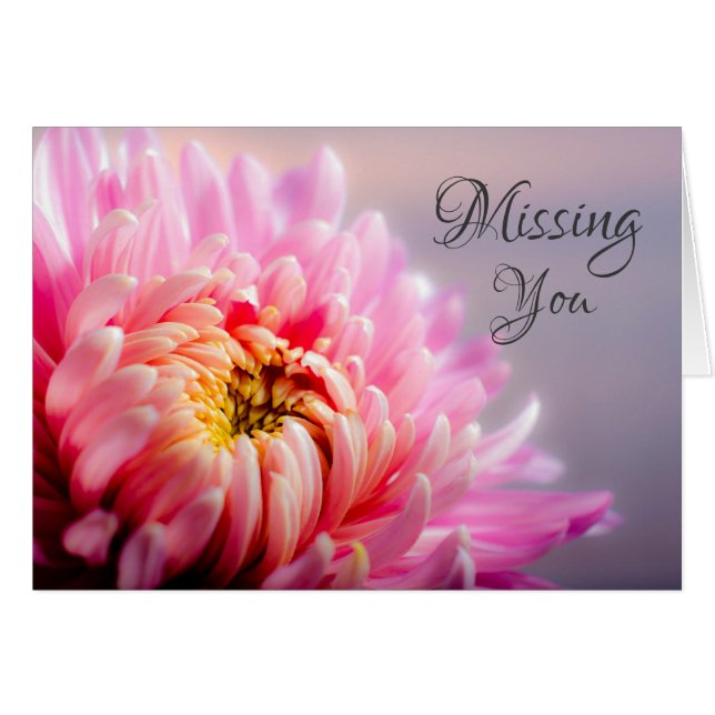 Carte photo de la macro Chrysanthemum (Devant Horizontal)